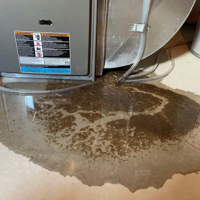 Appliance Leak Cleanup in Wayne County, UT